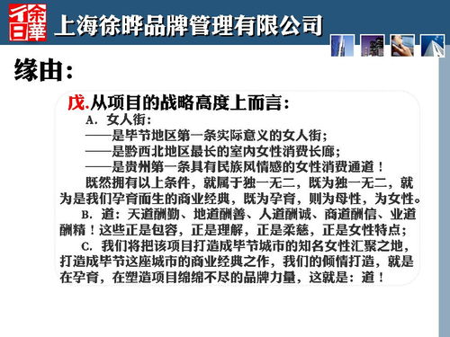 商業(yè)策劃人刀鋒與2013年畢節(jié)金街口項(xiàng)目 一次定位策劃的深度實(shí)踐與公關(guān)服務(wù)啟示